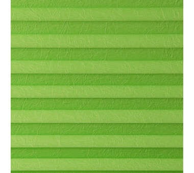 Lichtblick Plissee Haftfix, ohne Bohren, blickdicht, Farbe grün BxH 50x130 cm