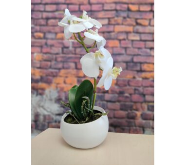 Kunstpflanze Phalenopsis (Orchidee), Farbe wei&szlig;,...