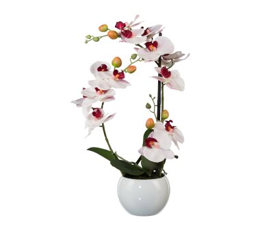 Kunstpflanze Phalenopsis (Orchidee) 3D-Print, Farbe rosa,...