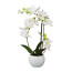 Kunstpflanze Phalenopsis (Orchidee) 3D-Print, Farbe weiß, im Keramik-Topf, Höhe ca. 42 cm