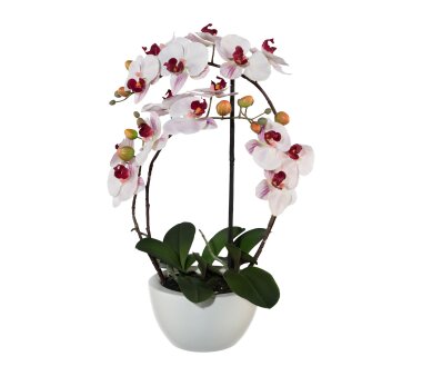 Kunstpflanze Phalenopsis (Orchidee) 3D-Print, Farbe rosa,...