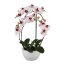 Kunstpflanze Phalenopsis (Orchidee) 3D-Print, Farbe rosa, im Keramik-Topf, Höhe ca. 52 cm