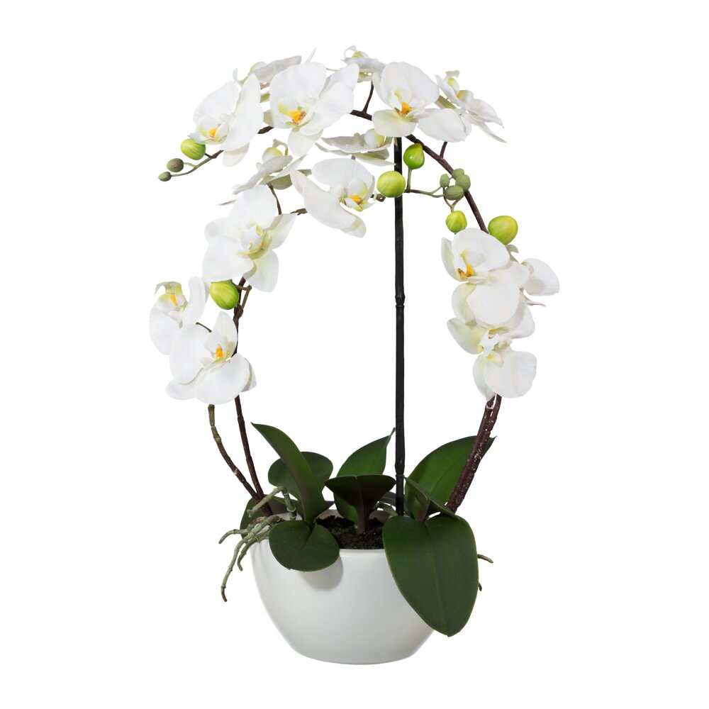Kunstpflanze Orchidee weiß 52 cm | Wohnfuehlidee getopft