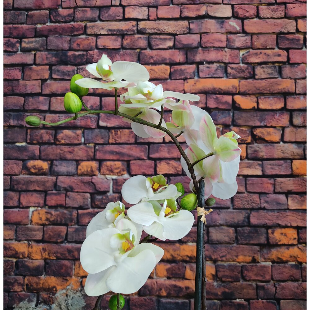 Kunstpflanze Orchidee weiß 52 cm getopft | Wohnfuehlidee