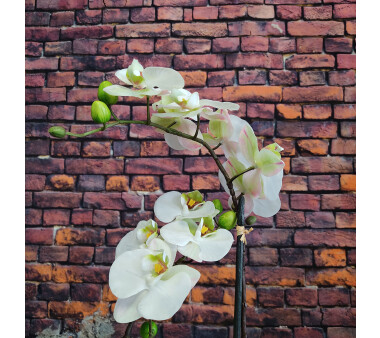 Kunstpflanze Phalenopsis (Orchidee) 3D-Print, Farbe weiß, im Keramik-Topf, Höhe ca. 52 cm