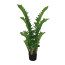 Kunstpflanze Zamifolia, Farbe grün, inkl. Topf, Höhe ca. 110 cm