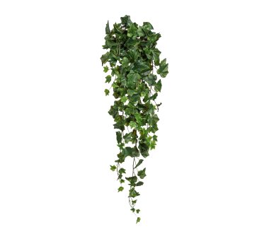 Efeuranke, Kunstpflanze bei Wohnfuehlidee | cm Engl. 115