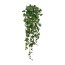 Kunstpflanze Engl. Efeuhänger, Farbe grün, Höhe ca. 100 cm