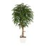 Kunstpflanze Weeping-Ficus grün, mit Naturstamm,  im Topf, Höhe ca. 180 cm