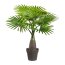 Kunstpflanze Mini-Fächerpalme grün, im Kunststoff-Topf, Höhe ca. 45 cm