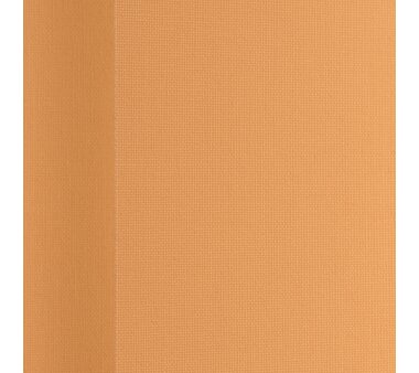 LIEDECO Vertikal-Lamellenanlage Perlreflex, 127 mm Lamellen, Verdunklung, Farbe apricot