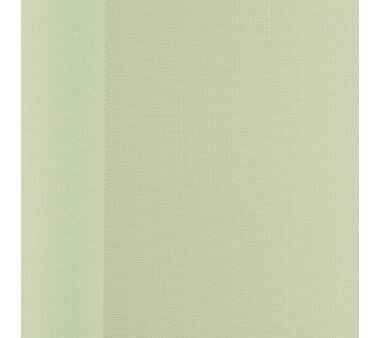 LIEDECO Vertikal-Lamellenanlage Perlreflex, 127 mm Lamellen, Verdunklung, Farbe lindgrün