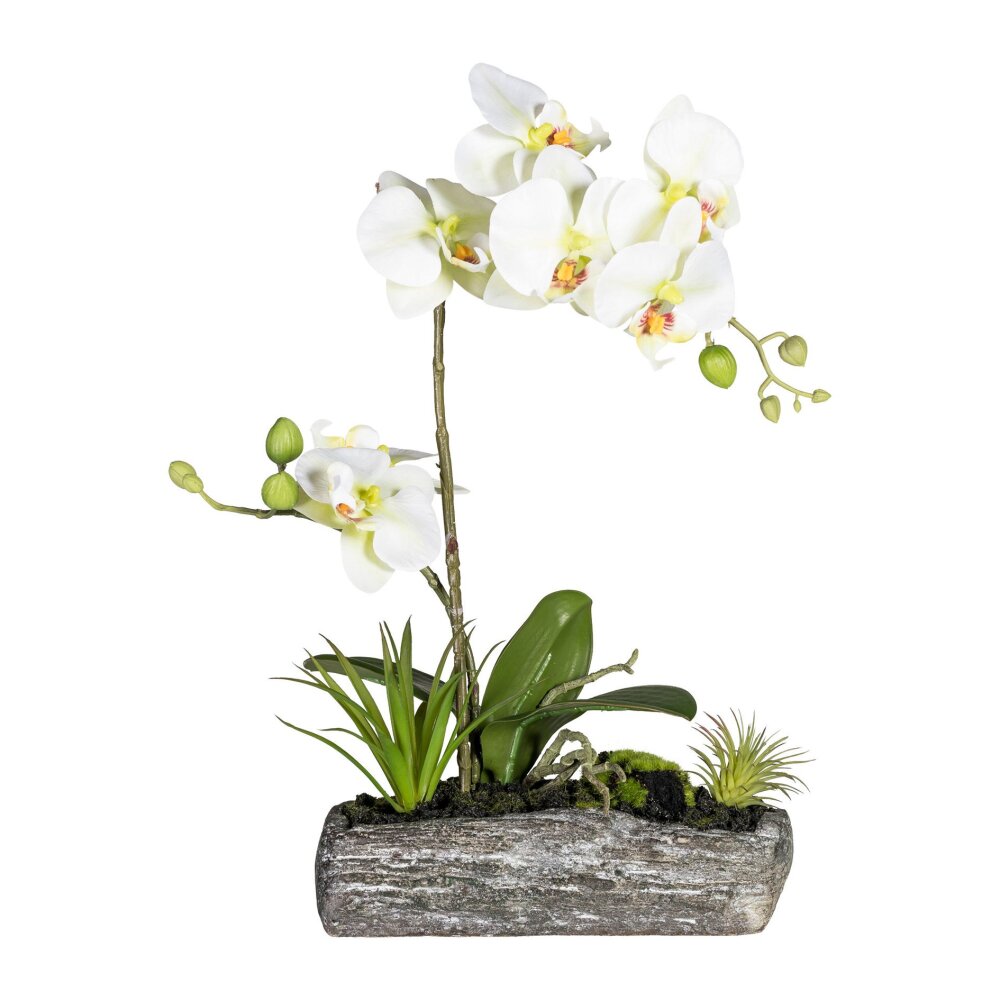 Kunstpflanze Orchidee grün, 40 cm, mit Polyresinschale