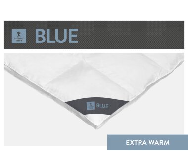 SPESSARTTRAUM Daunen-Cassettendecke BLUE mit 4 cm Innen- und Aussensteg, Wärmegrad extrawarm
