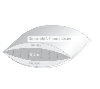 SPESSARTTRAUM Gänsedaunen-3-Kammer-Kopfkissen PLATIN, Stützkomfort mittel 80x80 cm