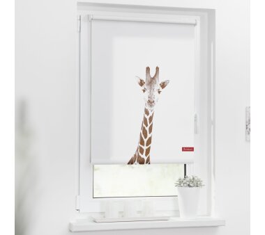 Lichtblick Rollo Klemmfix, Motiv Giraffe, Digitaldruck,...