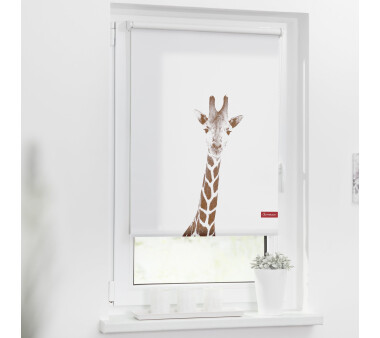 Lichtblick Rollo Klemmfix, Motiv Giraffe, Digitaldruck, Verdunklung, Farbe braun BxH 45x150 cm