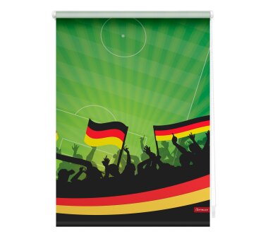Lichtblick Rollo Klemmfix, Motiv Deutschlandfahne, Digitaldruck, Verdunklung, Farbe grün BxH 45x150 cm