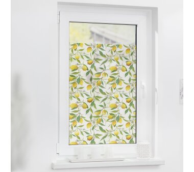 Lichtblick Fensterfolie selbstklebend, Sichtschutz, Motiv Limone, Digitaldruck, gelb-grün