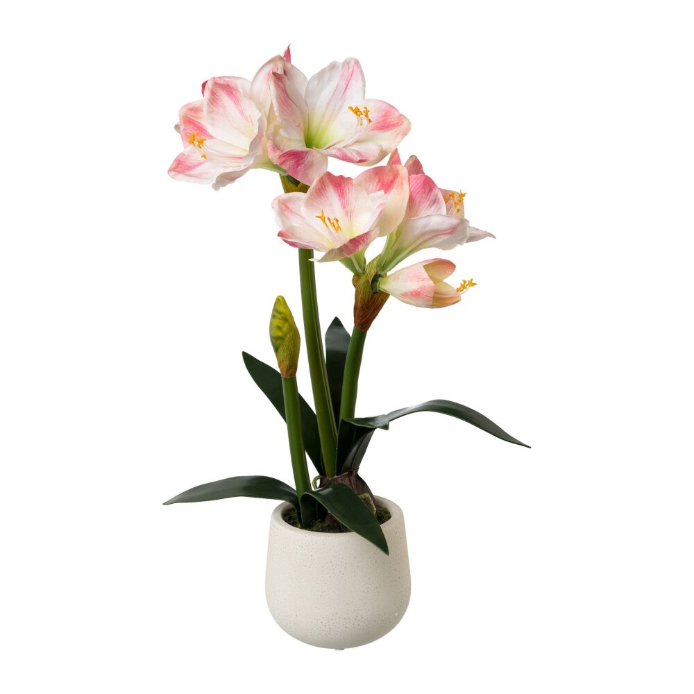 [Eröffnungspreis für alle Produkte] Kunstpflanze Amaryllis rosa, cm 60