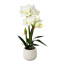 Kunstpflanze Amaryllis, Farbe weiß, im weißen Keramik-Topf, Höhe ca. 60 cm