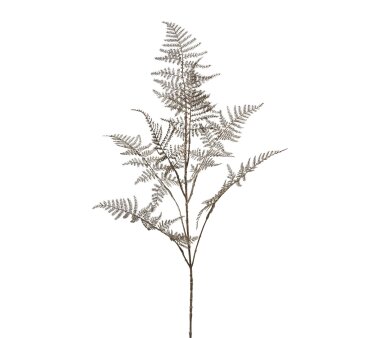 Kunstpflanze Asparaguszweig, 2er Set, Farbe antik-silber,...
