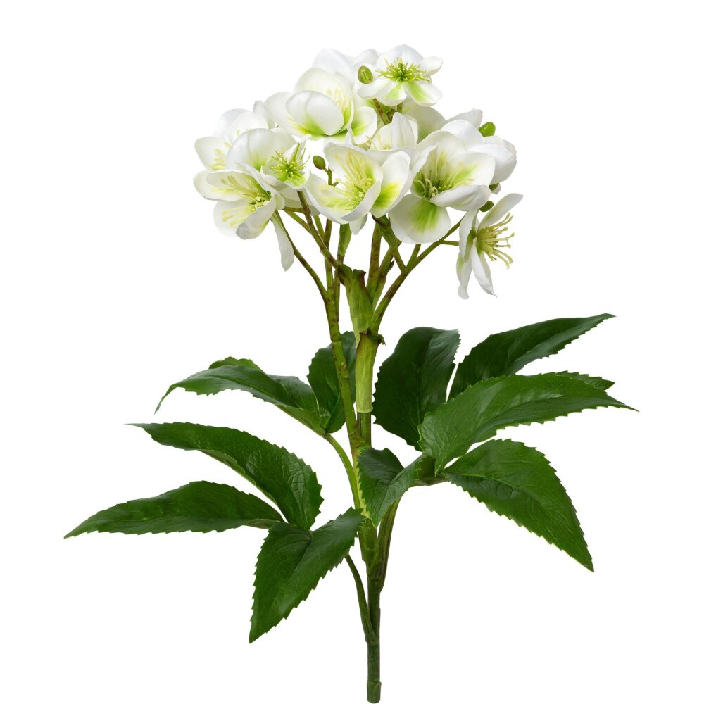 Kunstpflanze Christrose weiß, 60 cm | bei Wohnfuehlidee