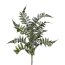 Kunstpflanze Pterisfarn, 2er Set, Farbe grün, Höhe ca. 41 cm