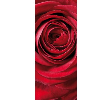 Fototapete SUNNY DECOR, RED ROSE, 2 Teile, BxH 97 x 220  cm