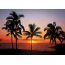 Fototapete SUNNY DECOR, HAWAII, 8 Teile, BxH 368 x 254 cm