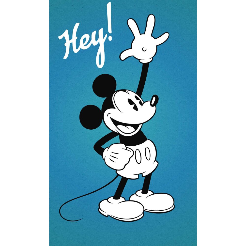 Hey mickey speed. Hey Mickey обложка. Mickey Mouse Mural. Микки Хей кричит. Хей Микки песня.