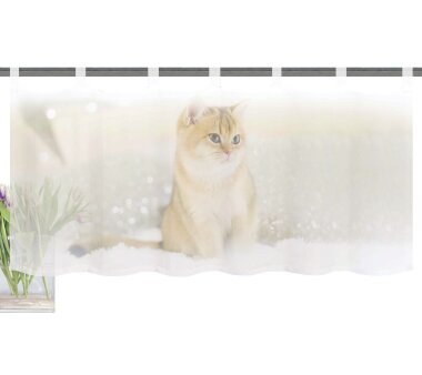 Cafehaus-Gardine SWEETY  mit Schlaufen, transparent, Farbe natur, HxB 45x120 cm
