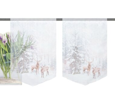 Scheibenhänger HIRALIA, 2er Set, mit Stangendurchzug, transparent, Farbe natur, HxB 45 x 30 cm