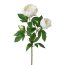 Kunstblume Peonienzweig, 3er Set, Farbe weiß, Höhe ca. 70 cm