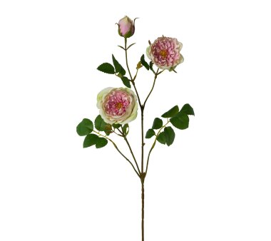 Kunstblume Rosenzweig, 3er Set, Farbe grün-rosa,...