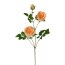 Kunstblume Rosenzweig, 3er Set, Farbe apricot, Höhe ca. 73 cm