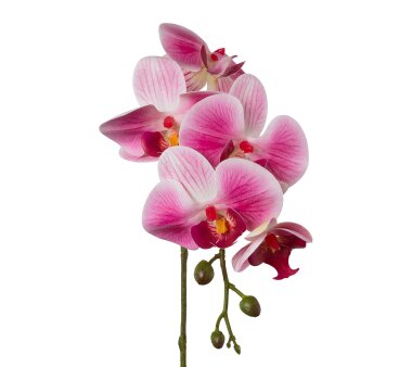 Kunstblume Phalenopsis (Orchidee), 5er Set, Farbe rosa,...