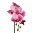 Kunstblume Phalenopsis (Orchidee), 5er Set, Farbe rosa, Höhe ca. 45 cm