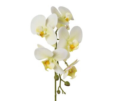 Kunstblume Phalenopsis (Orchidee), 5er Set, Farbe...