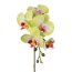 Kunstblume Phalenopsis (Orchidee), 5er Set, Farbe grün-rosa, Höhe ca. 45 cm
