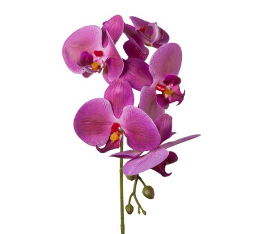 Kunstblume Phalenopsis (Orchidee), 5er Set, Farbe lila,...