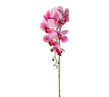 Kunstblume Phalenopsis (Orchidee), 2er Set, Farbe rosa,...