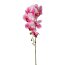 Kunstblume Phalenopsis (Orchidee), 2er Set, Farbe rosa, Höhe ca. 86 cm