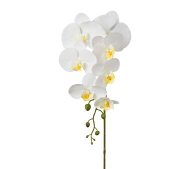 Kunstblume Phalenopsis (Orchidee), 2er Set, Farbe...