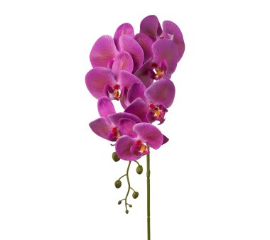 Kunstblume Phalenopsis (Orchidee), 2er Set, Farbe lila,...
