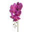 Kunstblume Phalenopsis (Orchidee), 2er Set, Farbe lila, Höhe ca. 86 cm
