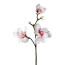 Kunstblume Magnolie, 3 Blüten, 2er Set, Farbe rosa, Höhe ca. 60 cm