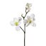 Kunstblume Magnolie, 3 Blüten, 2er Set, Farbe weiß, Höhe ca. 60 cm