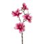 Kunstblume Magnolie, 4 Blüten, 2er Set, Farbe pink, Höhe ca. 85 cm