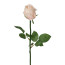 Kunstblume Rose, 5er Set, Farbe champagner, Höhe ca. 59 cm